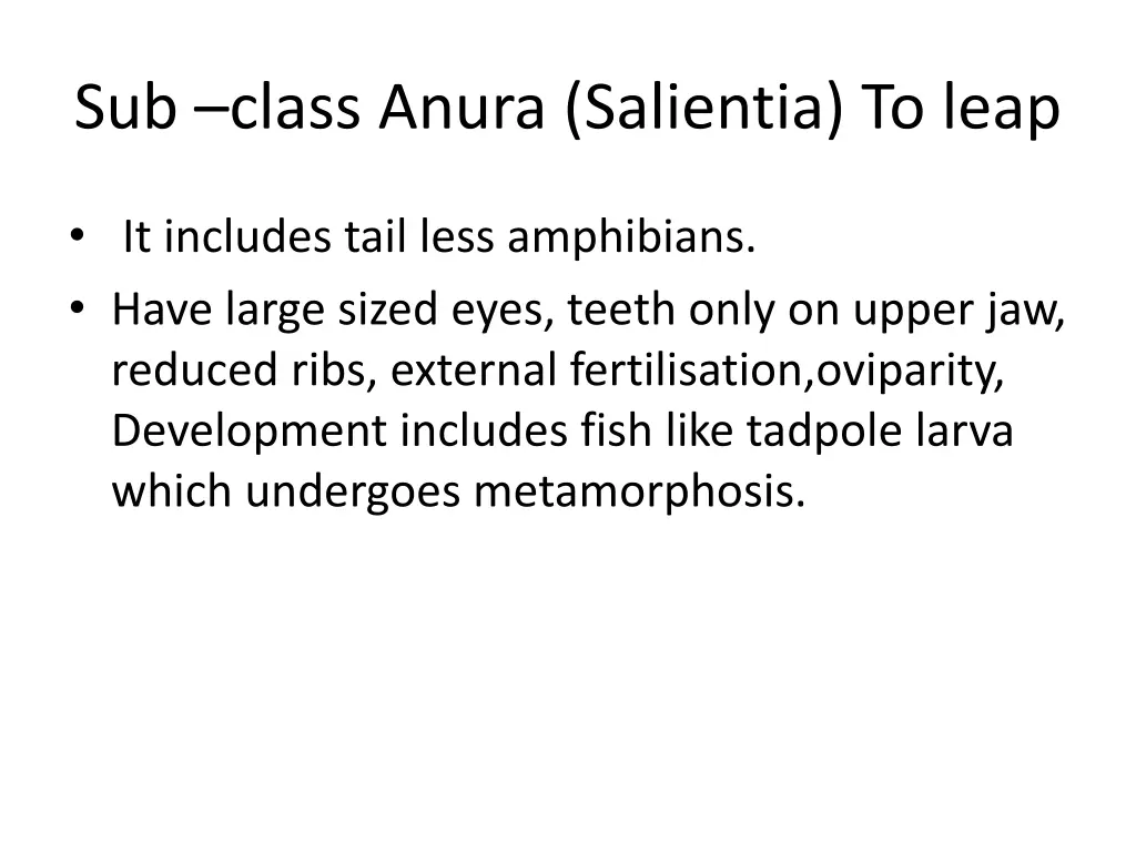 sub class anura salientia to leap