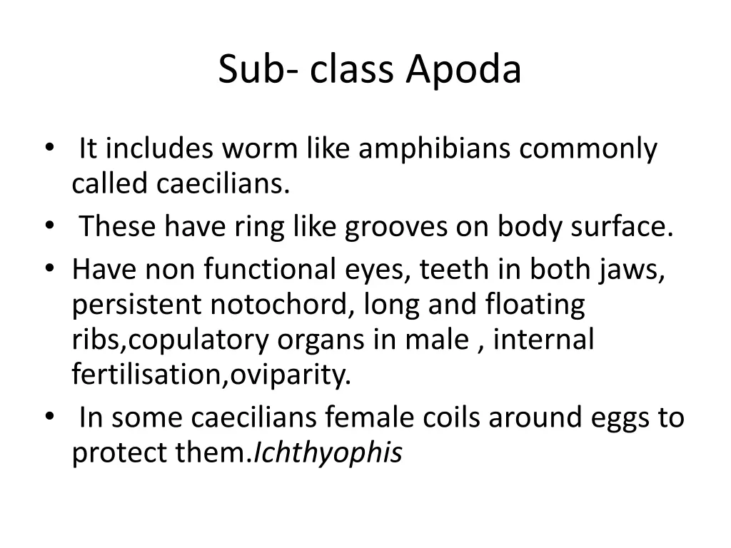 sub class apoda