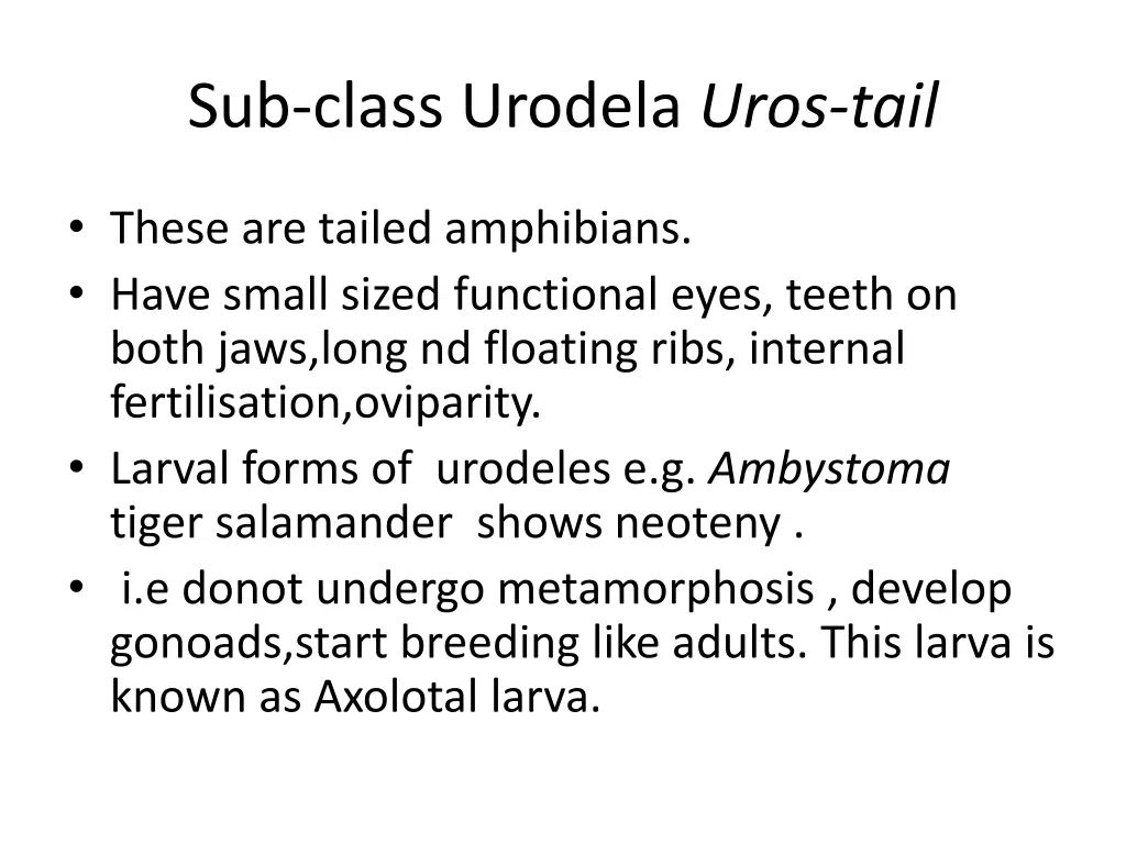 sub class urodela uros tail