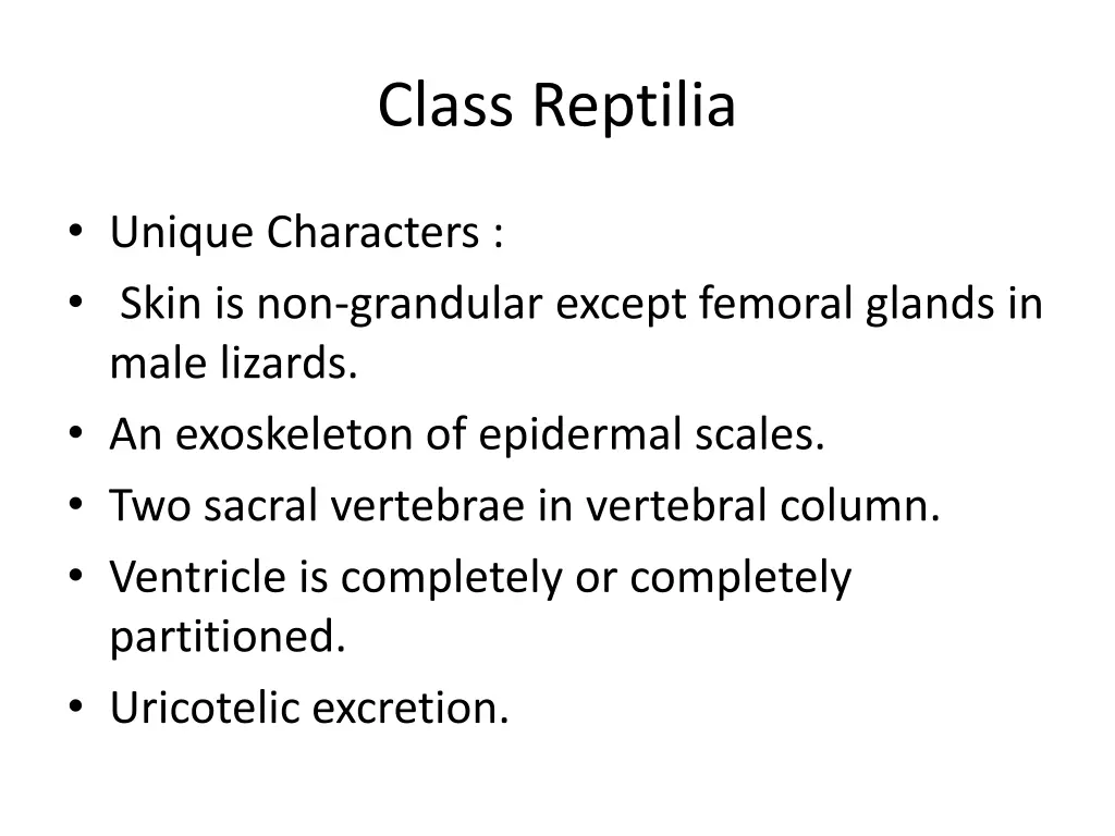 class reptilia