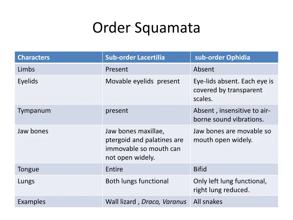 order squamata