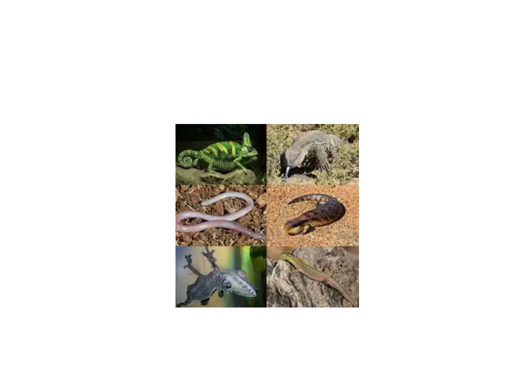 slide8