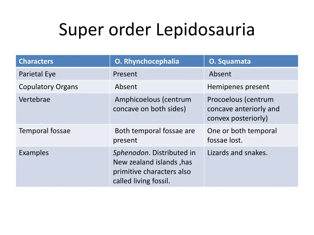 super order lepidosauria