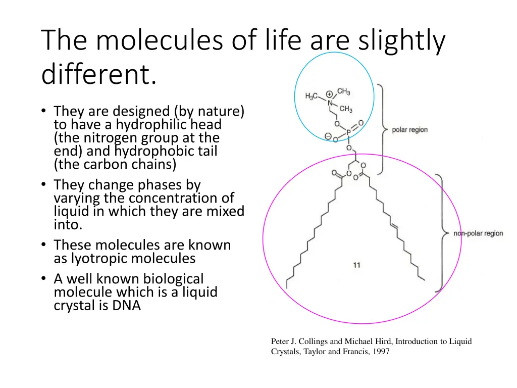 the molecules of life are slightly different