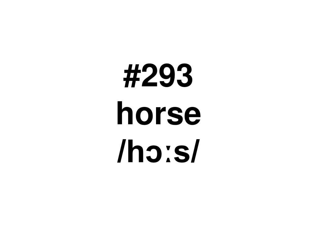 293 horse h s