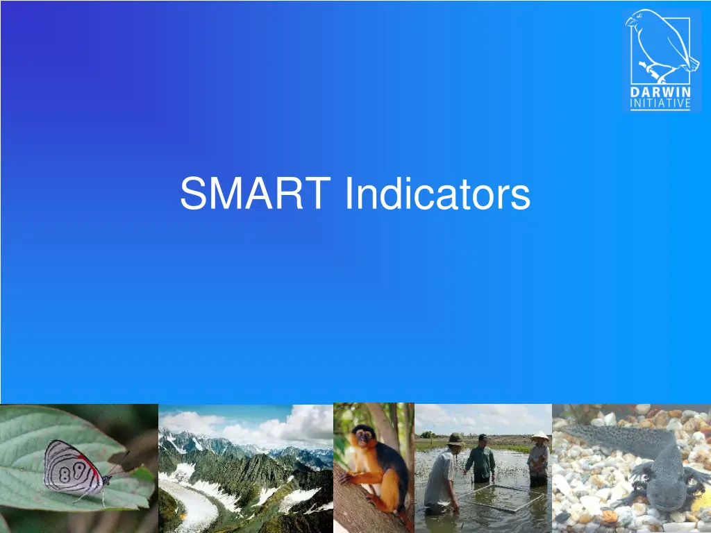 smart indicators
