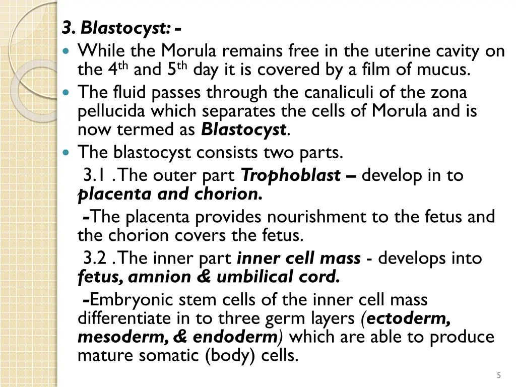 3 blastocyst while the morula remains free