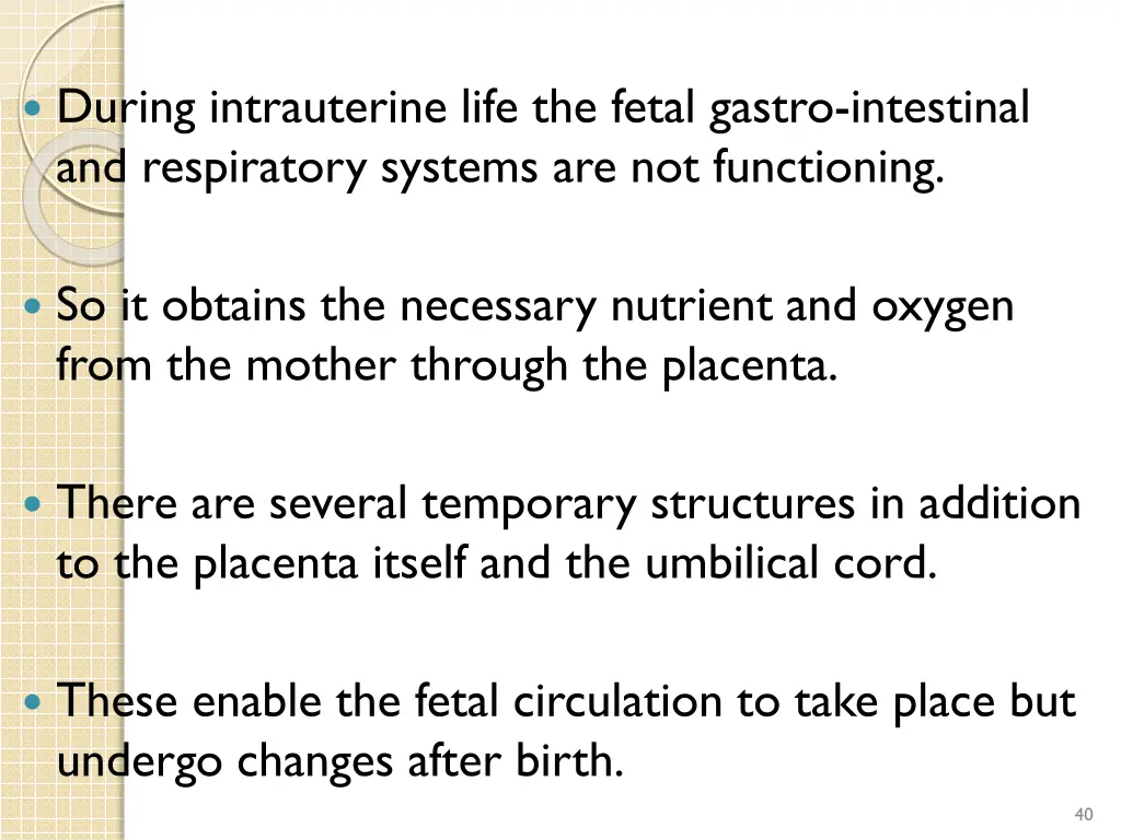 during intrauterine life the fetal gastro