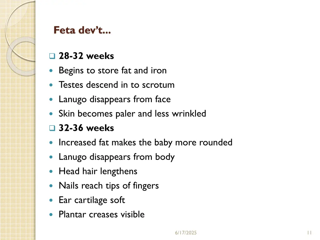 feta dev t