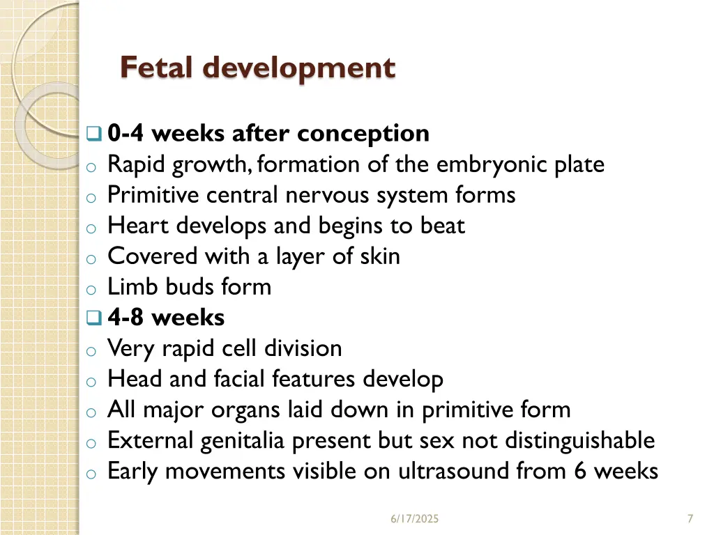 fetal development