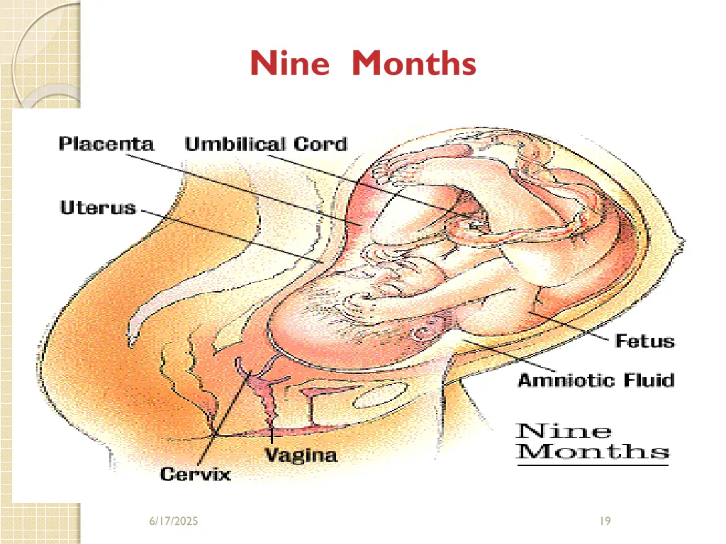nine months