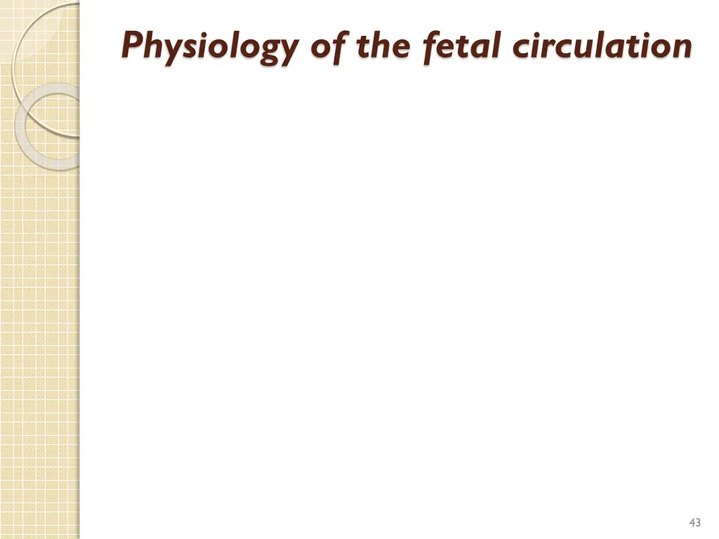 physiology of the fetal circulation