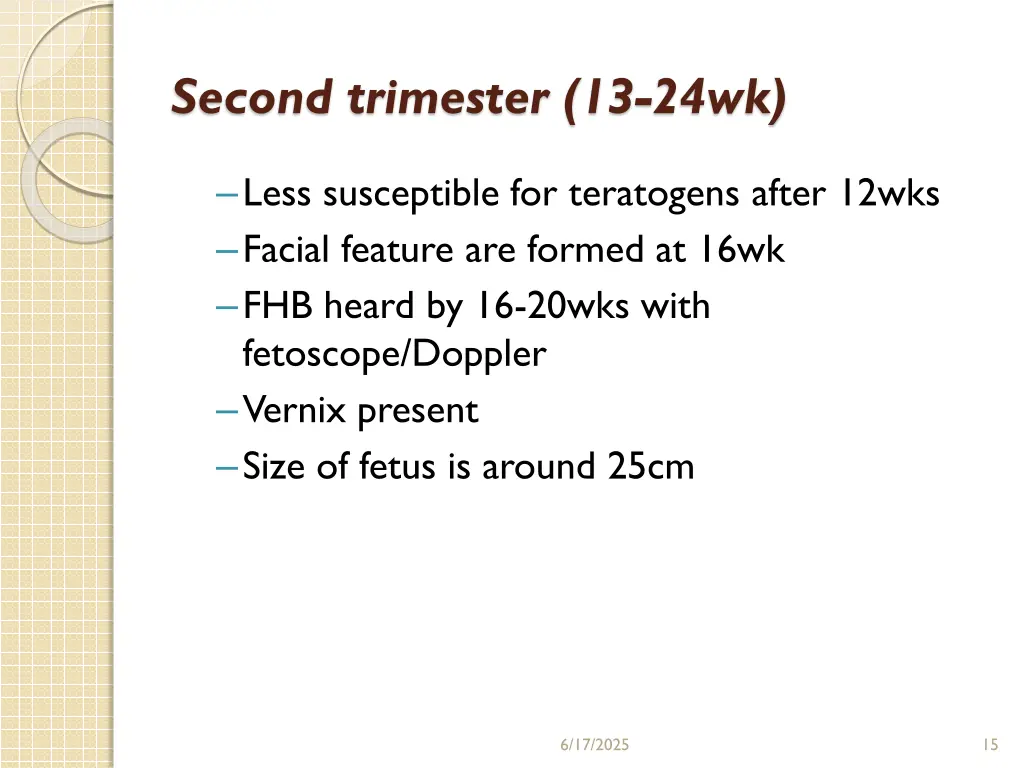 second trimester 13 24wk