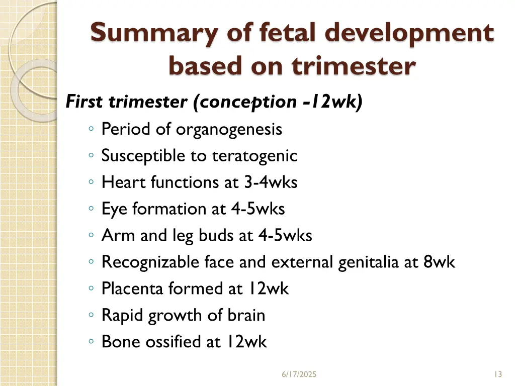 summary of fetal development based on trimester