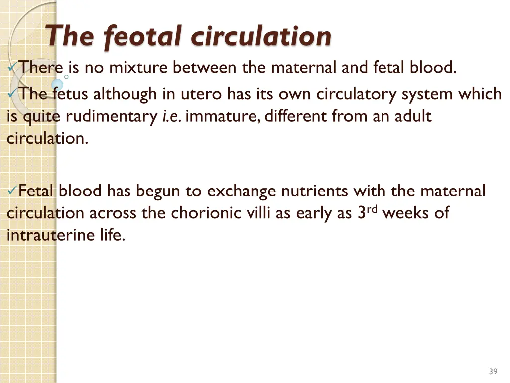 the feotal circulation there is no mixture