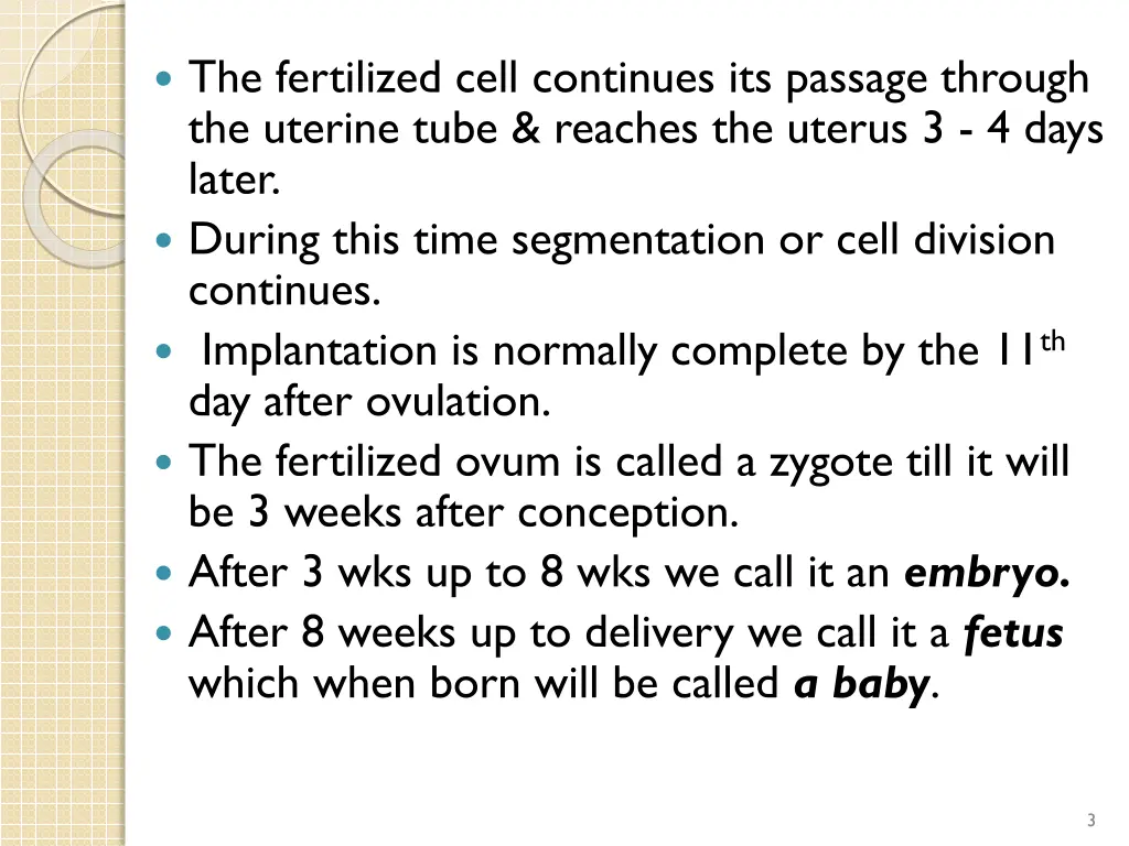 the fertilized cell continues its passage through
