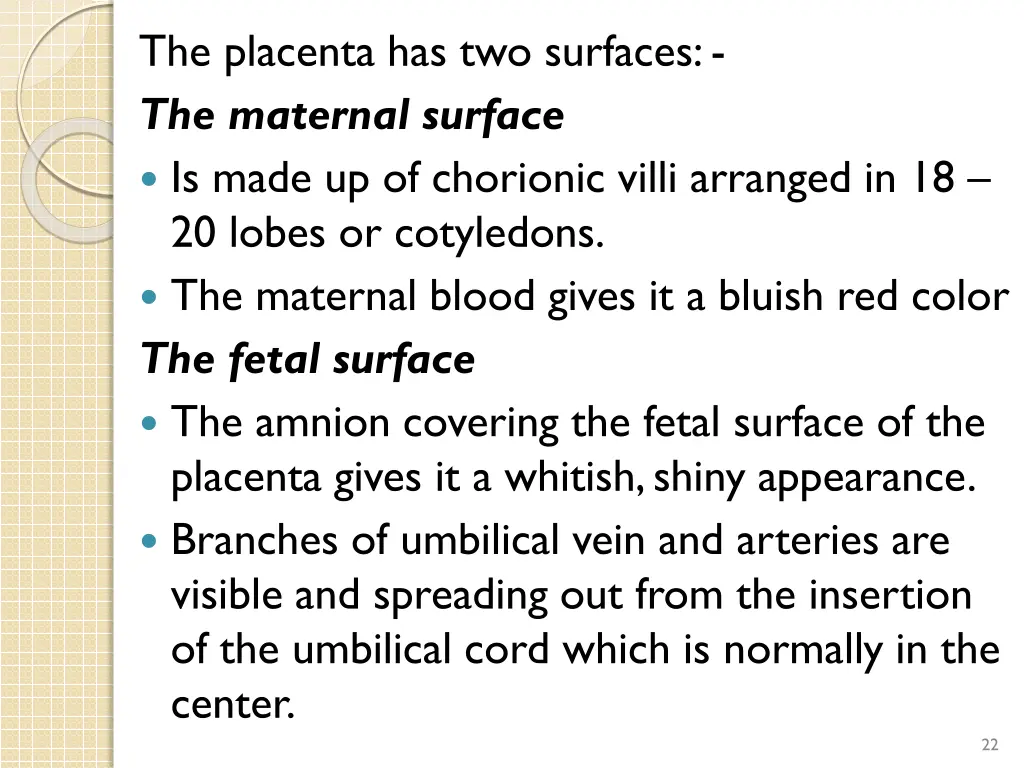 the placenta has two surfaces the maternal