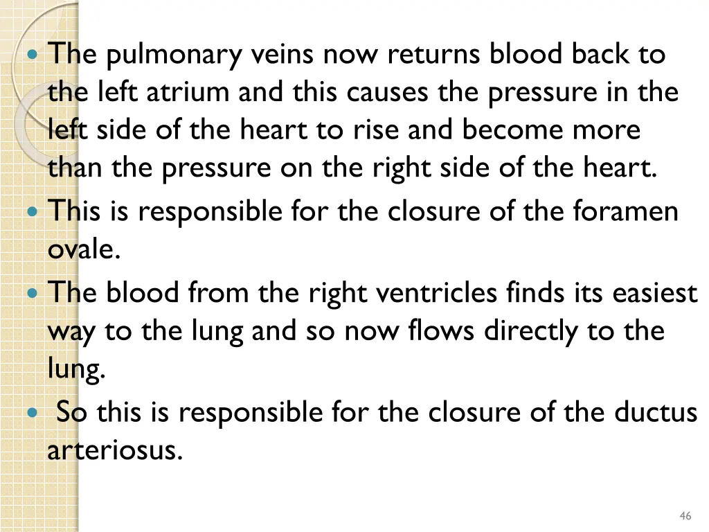 the pulmonary veins now returns blood back