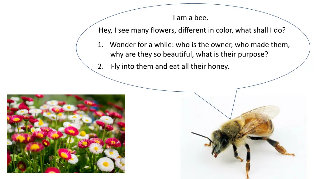 i am a bee