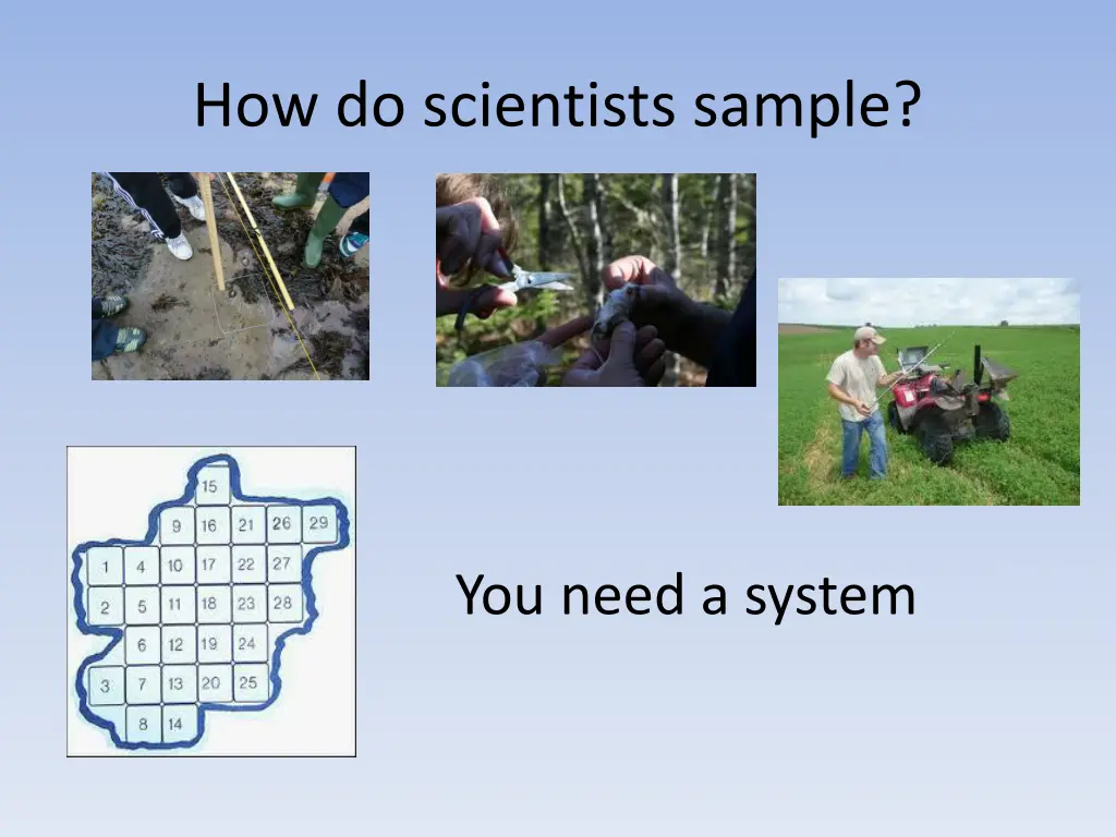 how do scientists sample