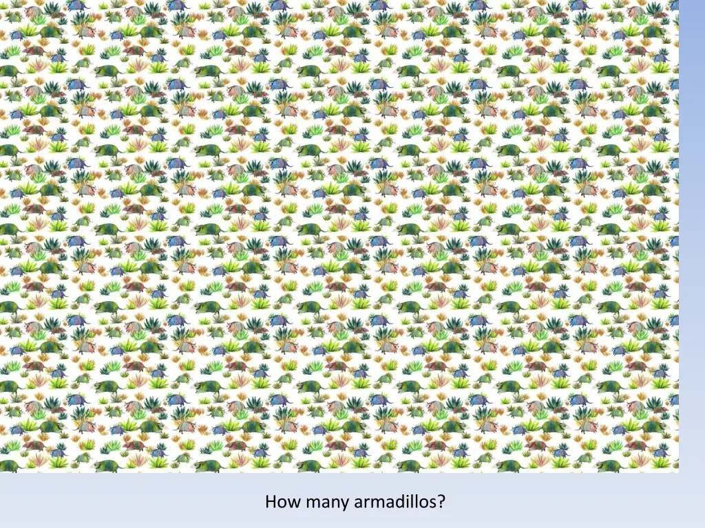 how many armadillos