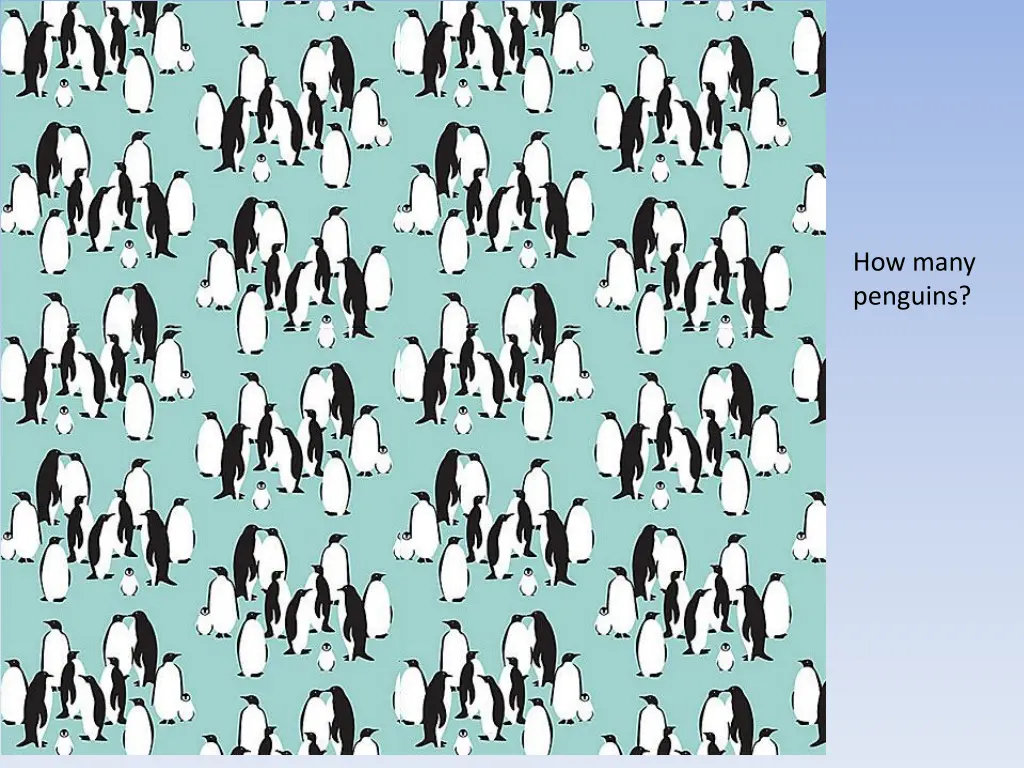 how many penguins