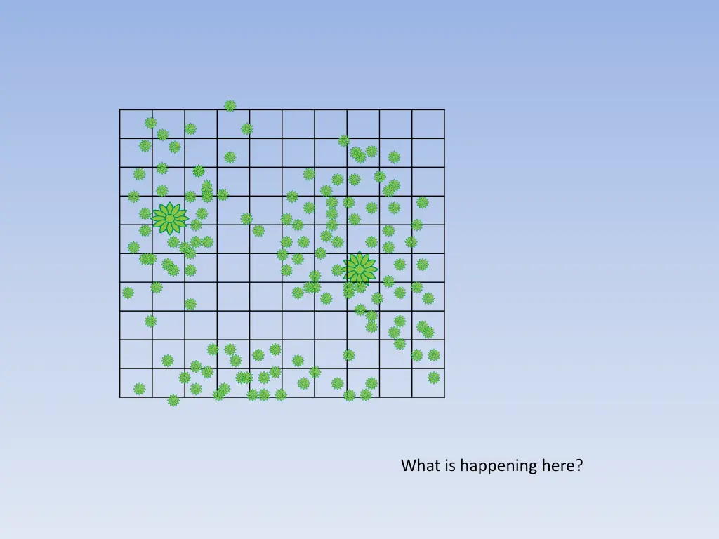 what is happening here