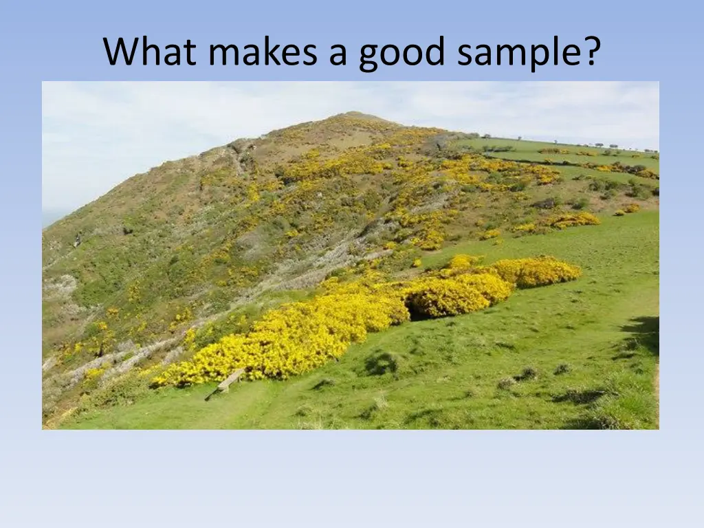 what makes a good sample 1