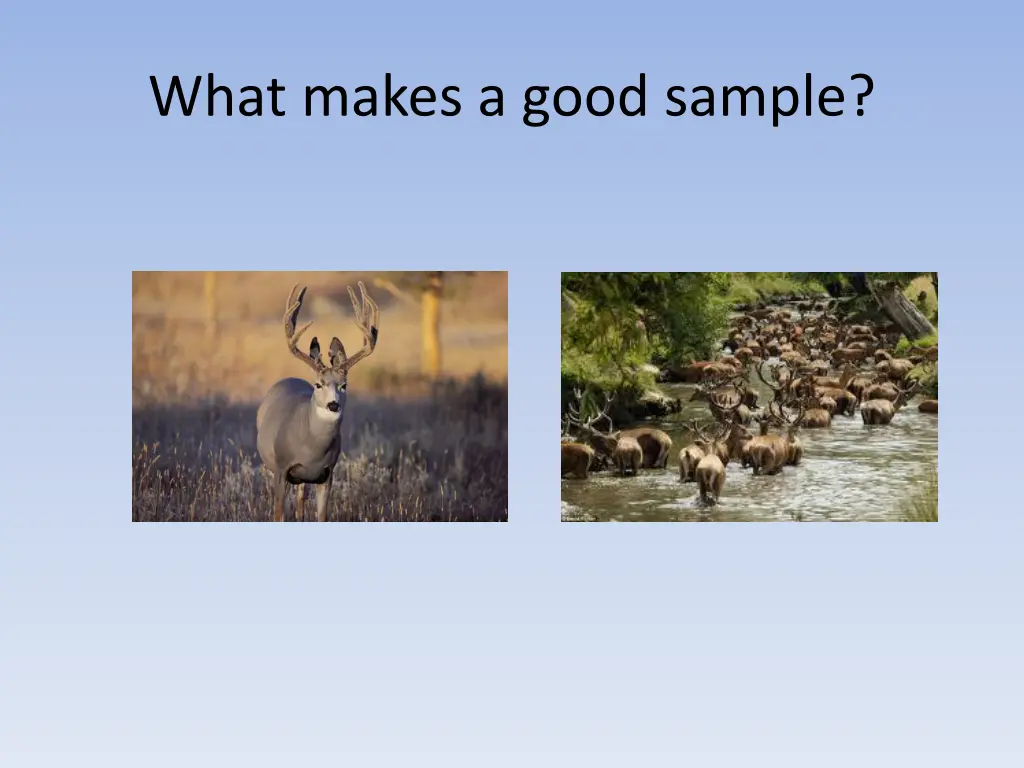 what makes a good sample