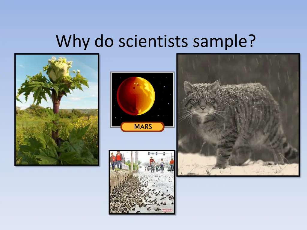 why do scientists sample