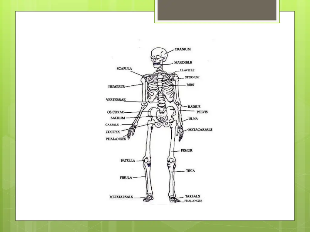 slide4