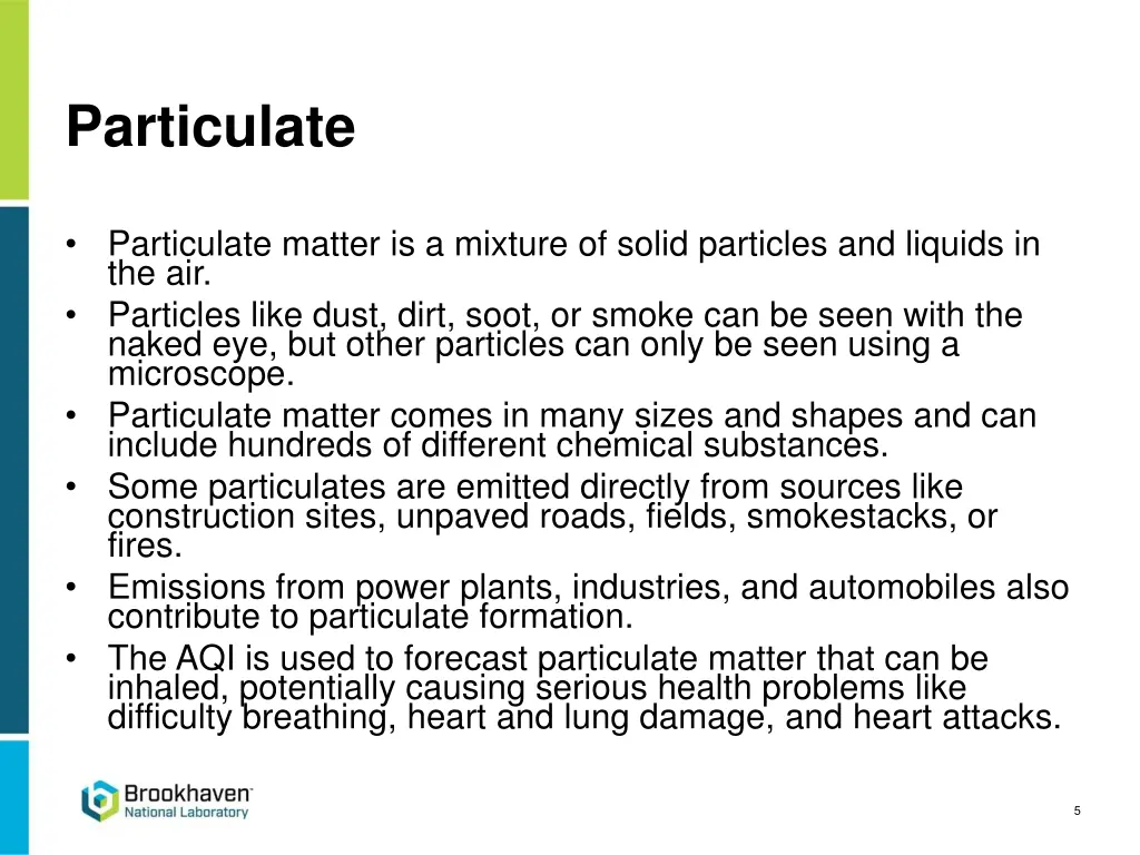 particulate