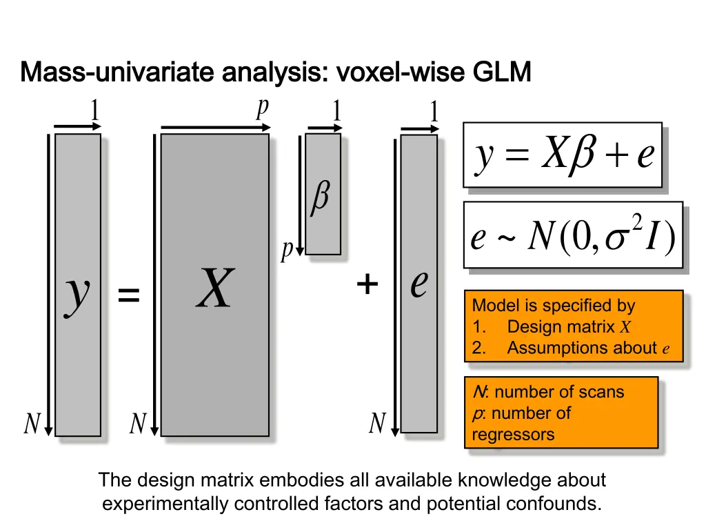 mass mass univariate univariate analysis voxel 1