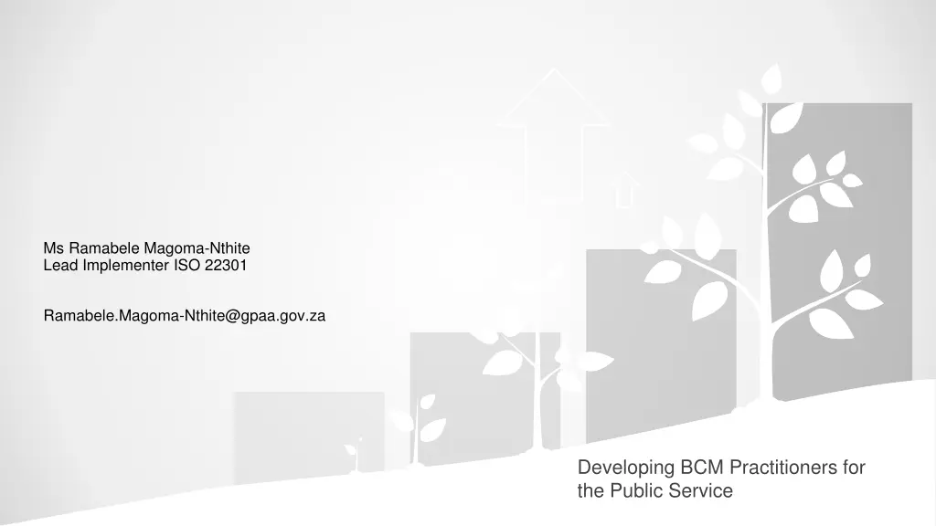 ms ramabele magoma nthite lead implementer