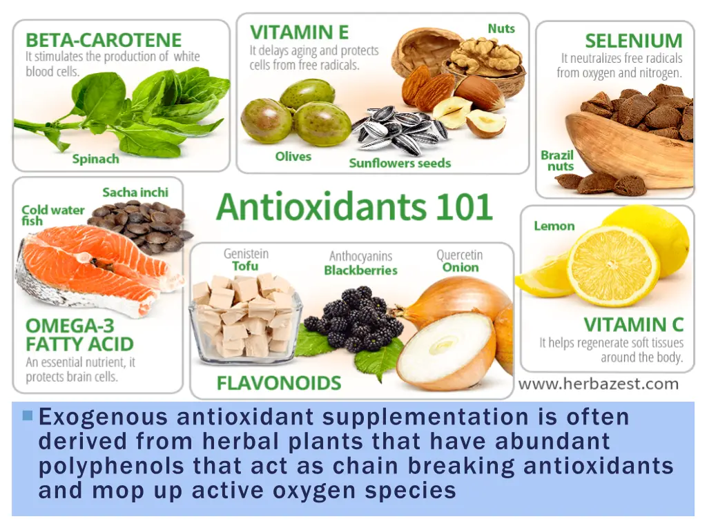 exogenous antioxidant supplementation is often