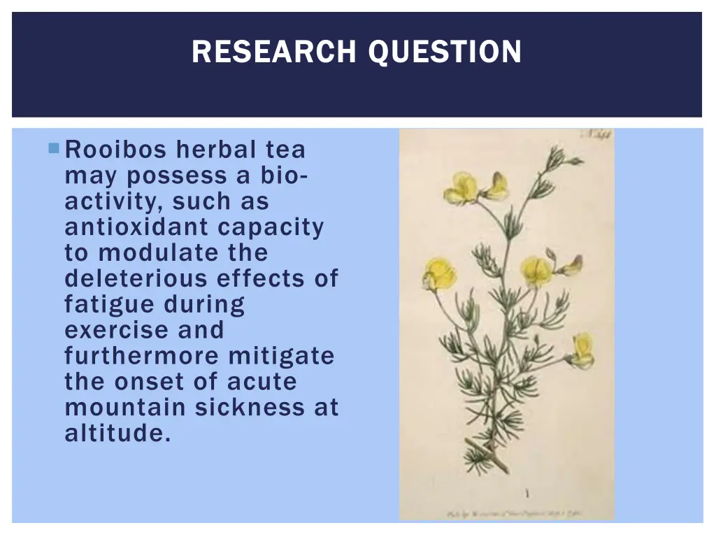 research question research question