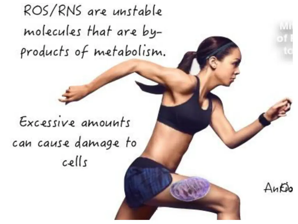 slide7