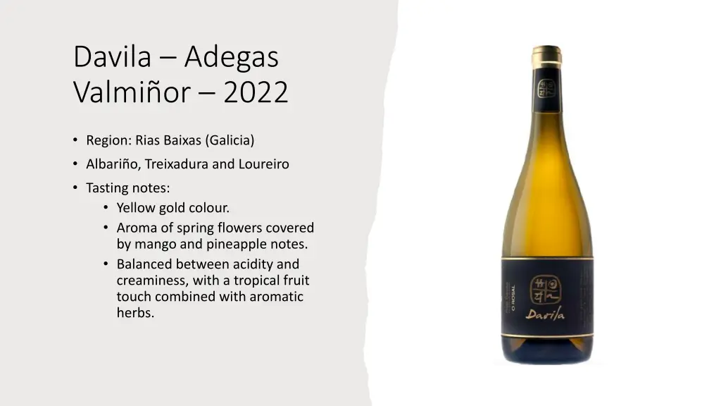 davila adegas valmi or 2022
