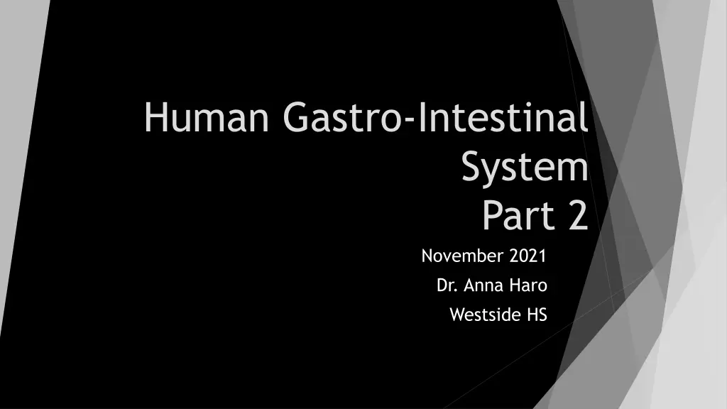 human gastro intestinal