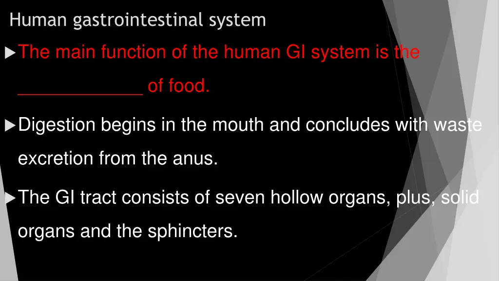 human gastrointestinal system