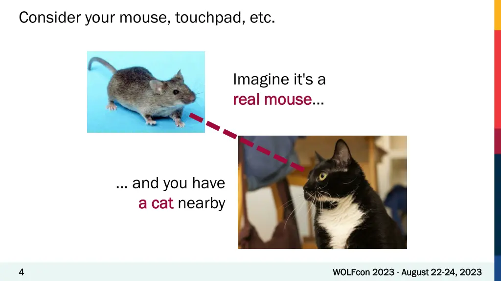 a mouse but then a cat appears a mouse but then