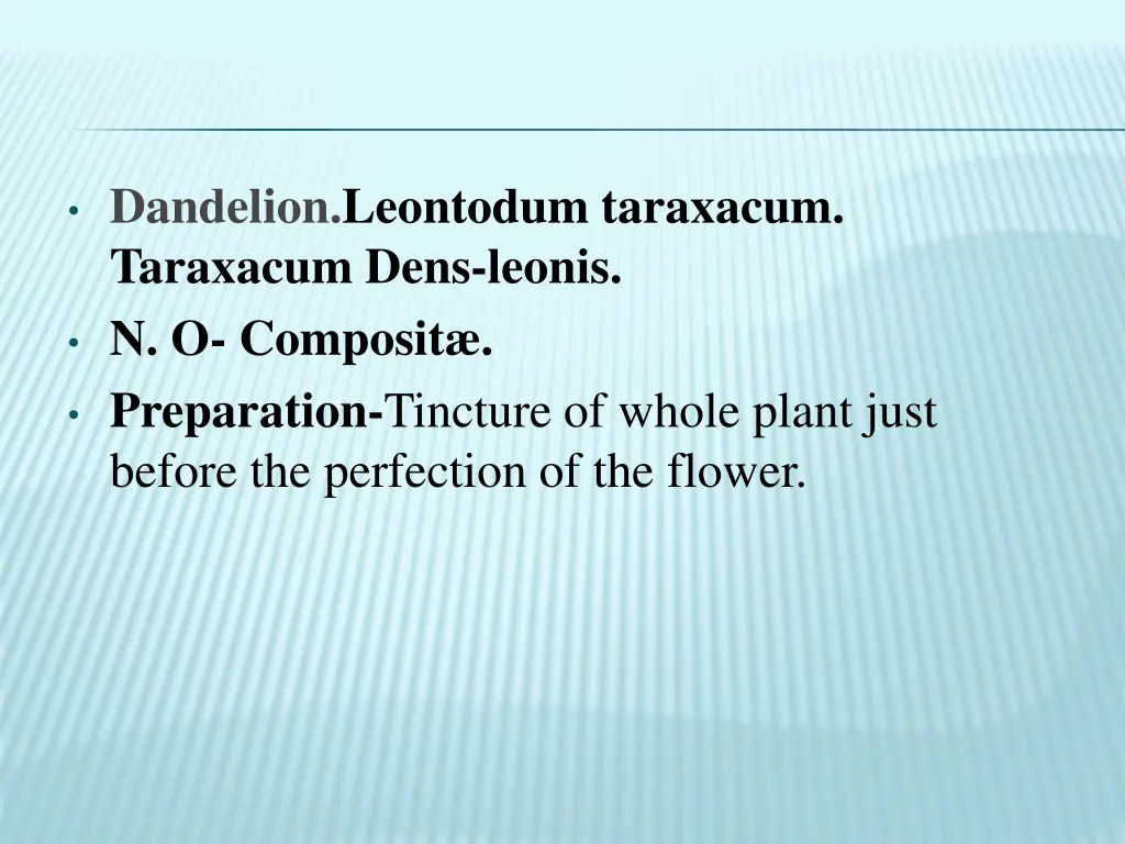 dandelion leontodum taraxacum taraxacum dens