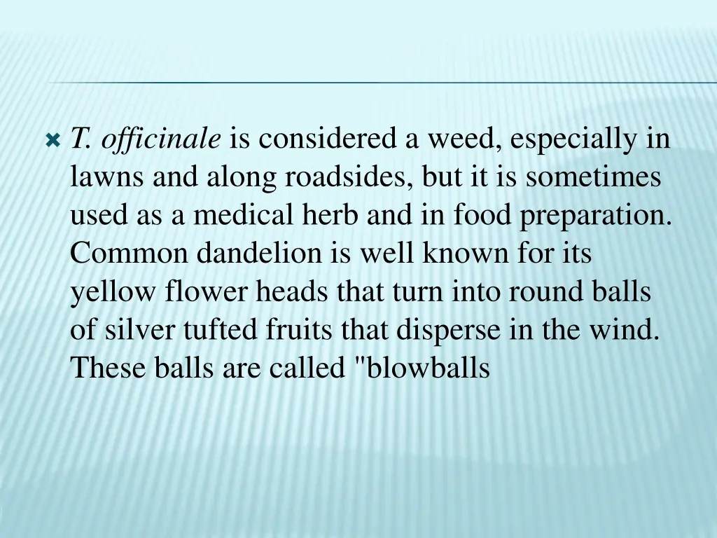 t officinale is considered a weed especially