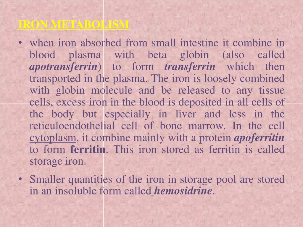 iron metabolism when iron absorbed from small