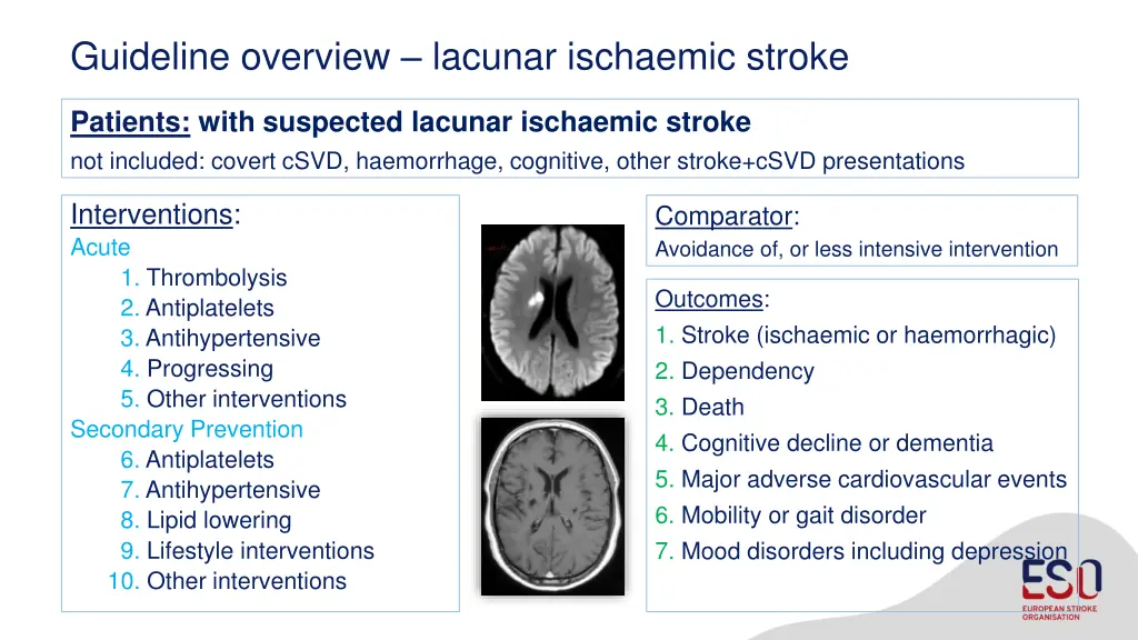 guideline overview lacunar ischaemic stroke