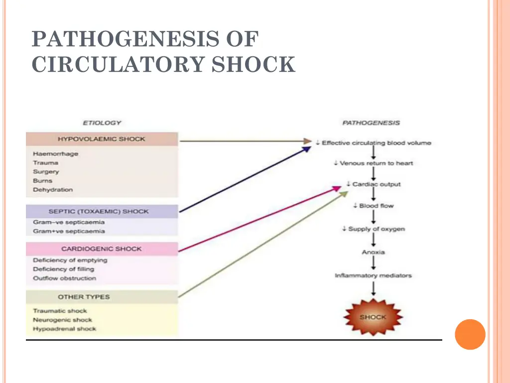 pathogenesis of circulatory shock