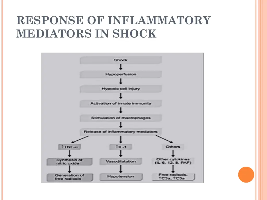 response of inflammatory mediators in shock