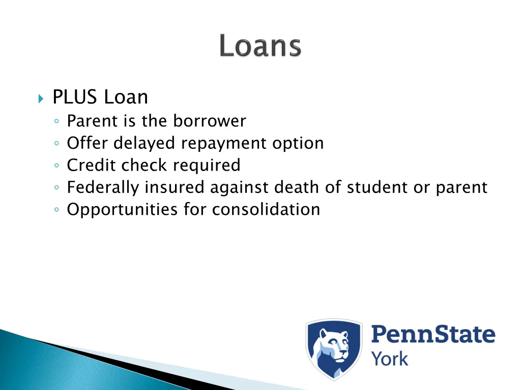 plus loan parent is the borrower offer delayed
