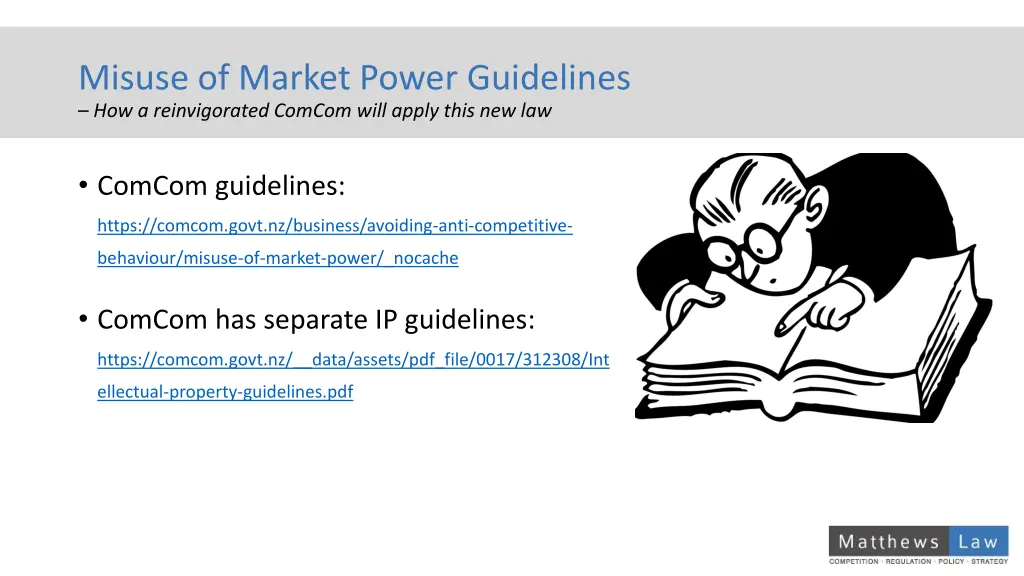 misuse of market power guidelines