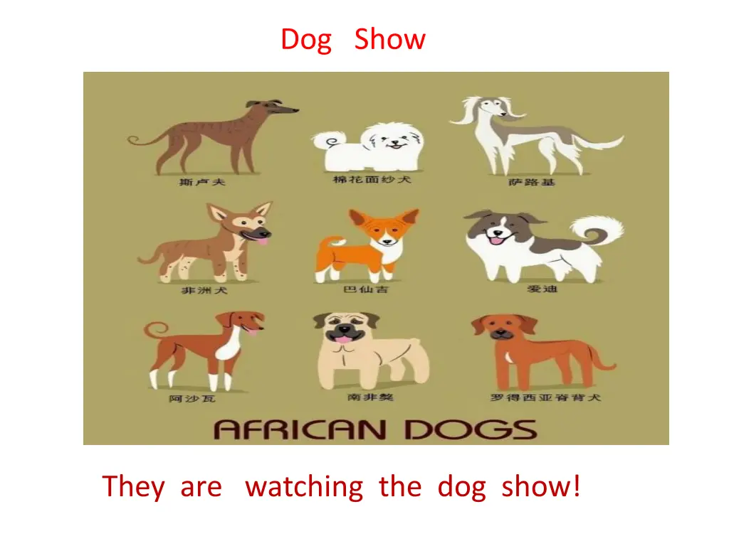 dog show